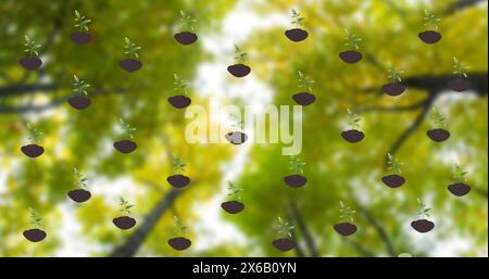 Immagine di testo naturale sugli alberi Foto Stock