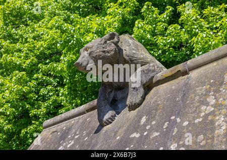 Orso di pietra scolpito sul muro degli animali del Castello di Cardiff. Castle Street, Cardiff, Galles Foto Stock