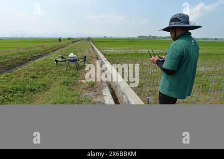 13 maggio 2024, Purworejo, Giava centrale, Indonesia: Gli operatori di droni iniziano a preparare fertilizzanti liquidi e liquidi per le piante di riso da spruzzare su 35 ettari di risaie nel villaggio di Sruwoh, sottodistretto di Ngombol, Purworejo, Giava centrale il 13 maggio 2024, alcuni agricoltori locali hanno iniziato a utilizzare i droni per fertilizzare le colture e spruzzare il liquido di controllo dei parassiti sulle piante di riso, che è considerato più efficace ed efficiente perché richiede in media solo 15-20 minuti su 2 ettari di terreno contribuendo ad aumentare la resa delle colture e la manodopera ed efficienza nel tempo, il serbatoio dei droni agricoli Foto Stock