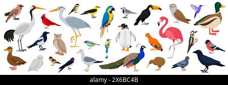Grande set di uccelli. Personaggi volanti brillanti, fauna selvatica e animali esotici. Specie faunistiche con picchio, fenicottero, oca Illustrazione Vettoriale