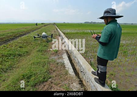 13 maggio 2024, Purworejo, Giava centrale, Indonesia: Gli operatori di droni iniziano a preparare fertilizzanti liquidi e liquidi per le piante di riso da spruzzare su 35 ettari di risaie nel villaggio di Sruwoh, sottodistretto di Ngombol, Purworejo, Giava centrale il 13 maggio 2024, alcuni agricoltori locali hanno iniziato a utilizzare i droni per fertilizzare le colture e spruzzare il liquido di controllo dei parassiti sulle piante di riso, che è considerato più efficace ed efficiente perché richiede in media solo 15-20 minuti su 2 ettari di terreno contribuendo ad aumentare la resa delle colture e la manodopera ed efficienza nel tempo, il serbatoio dei droni agricoli Foto Stock