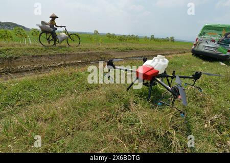 13 maggio 2024, Purworejo, Giava centrale, Indonesia: Gli operatori di droni iniziano a preparare fertilizzanti liquidi e liquidi per le piante di riso da spruzzare su 35 ettari di risaie nel villaggio di Sruwoh, sottodistretto di Ngombol, Purworejo, Giava centrale il 13 maggio 2024, alcuni agricoltori locali hanno iniziato a utilizzare i droni per fertilizzare le colture e spruzzare il liquido di controllo dei parassiti sulle piante di riso, che è considerato più efficace ed efficiente perché richiede in media solo 15-20 minuti su 2 ettari di terreno contribuendo ad aumentare la resa delle colture e la manodopera ed efficienza nel tempo, il serbatoio dei droni agricoli Foto Stock