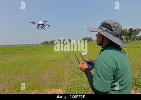 13 maggio 2024, Purworejo, Giava centrale, Indonesia: Un operatore di droni vola e spruzza fertilizzante liquido e liquido per piante di pesticidi per piante di riso da spruzzare su una risaia di 35 ettari nel villaggio di Sruwoh, sottodistretto di Ngombol, Purworejo, Giava centrale il 13 maggio 2024, alcuni agricoltori locali hanno iniziato a utilizzare i droni per fertilizzare le colture e spruzzare liquidi repellenti per i parassiti sulle piante di riso, il che è considerato più efficace ed efficiente perché richiede in media solo 15-20 minuti su un terreno di 2 ettari, contribuendo ad aumentare la resa delle colture, la manodopera e efficienza nel tempo, il drone agricolo Foto Stock