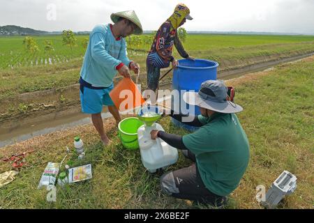 13 maggio 2024, Purworejo, Giava centrale, Indonesia: Gli operatori di droni iniziano a preparare fertilizzanti liquidi e liquidi per le piante di riso da spruzzare su 35 ettari di risaie nel villaggio di Sruwoh, sottodistretto di Ngombol, Purworejo, Giava centrale il 13 maggio 2024, alcuni agricoltori locali hanno iniziato a utilizzare i droni per fertilizzare le colture e spruzzare il liquido di controllo dei parassiti sulle piante di riso, che è considerato più efficace ed efficiente perché richiede in media solo 15-20 minuti su 2 ettari di terreno contribuendo ad aumentare la resa delle colture e la manodopera ed efficienza nel tempo, il serbatoio dei droni agricoli Foto Stock