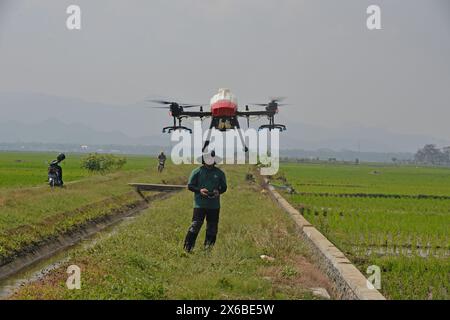 13 maggio 2024, Purworejo, Giava centrale, Indonesia: Gli operatori di droni iniziano a preparare fertilizzanti liquidi e liquidi per le piante di riso da spruzzare su 35 ettari di risaie nel villaggio di Sruwoh, sottodistretto di Ngombol, Purworejo, Giava centrale il 13 maggio 2024, alcuni agricoltori locali hanno iniziato a utilizzare i droni per fertilizzare le colture e spruzzare il liquido di controllo dei parassiti sulle piante di riso, che è considerato più efficace ed efficiente perché richiede in media solo 15-20 minuti su 2 ettari di terreno contribuendo ad aumentare la resa delle colture e la manodopera ed efficienza nel tempo, il serbatoio dei droni agricoli Foto Stock