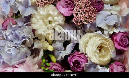 Sfondo naturale floreale con gardenia blu, rosa rosa, primo piano crisantemo bianco Foto Stock