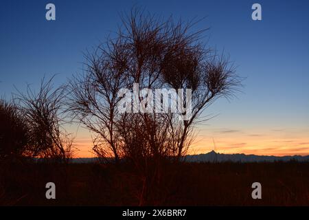 Piemonte, Italia la catena montuosa delle Alpi con il Monte Monviso al tramonto Foto Stock