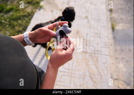 Donna irriconoscibile che rimuove una borsa da un supporto di plastica per raccogliere gli animali domestici all'aperto. Donna con un cane carino che prende il sacchetto dei rifiuti dal supporto nel parco, cl Foto Stock