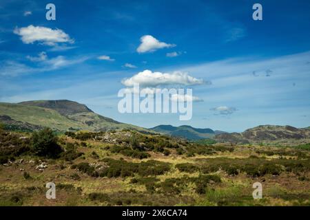 Le brughiere sopra Beddgellert a Snowdonia nel Galles del Nord. Nantmor e Nant Gwynant. Si ritiene che il suo nome sia dovuto al leggendario levriero Gelert. Foto Stock