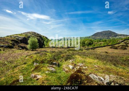 Le brughiere sopra Beddgellert a Snowdonia nel Galles del Nord. Nantmor e Nant Gwynant. Si ritiene che il suo nome sia dovuto al leggendario levriero Gelert. Foto Stock