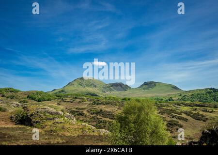 Le brughiere sopra Bedgellert a Snowdonia nel Galles del Nord Foto Stock