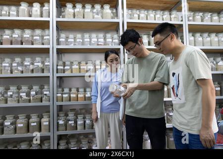 (240514) -- DONGCHUAN, 14 maggio 2024 (Xinhua) -- i ricercatori Song Dongri (C), li Xiaoyu (R) e Wei li controllano la conservazione dei campioni alla stazione di Dongchuan nel distretto di Dongchuan di Kunming, nella provincia dello Yunnan, nella Cina sud-occidentale, 7 maggio 2024. La gola di Jiangjiagou, situata nel bacino del fiume Xiaojiang, era una frequente frana. Nel 1961, una stazione di osservazione e ricerca dei flussi di detriti, nota come stazione di Dongchuan, è stata fondata nell'area di Jiangjiagou. Da allora, diverse generazioni di ricercatori hanno osservato e studiato i flussi di detriti e hanno stabilito un disastro completo re Foto Stock