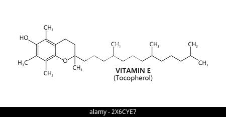 Formula della vitamina e, struttura chimica di linea dei composti molecolari del tocoferolo. Chimica vettoriale, medicina e farmacologia educazione scientifica, vitamina e formula strutturale antiossidante liposolubile in vitamina E. Illustrazione Vettoriale