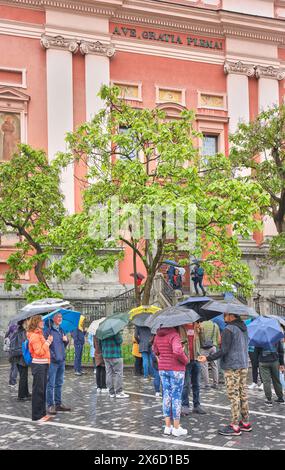 Turisti con ombrelloni in Piazza Preseren, fuori dalla chiesa francescana dell'Annunciazione, Lubiana, Slovenia, in una giornata di pioggia. Foto Stock