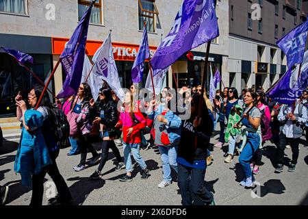 Una marcia di protesta degli insegnanti a Ushuaia subito dopo l'elezione del presidente Javier Milea. Foto Stock