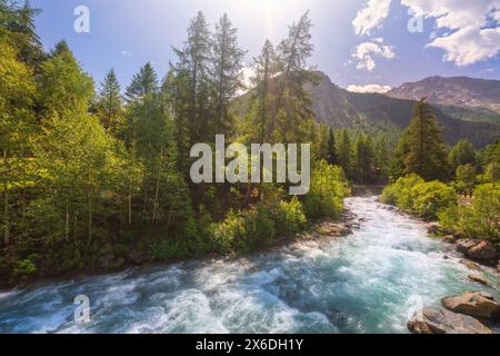 Un torrente nel paesaggio montano estivo a Cogne, Alpi italiane. Valle d'Aosta, Italia Foto Stock