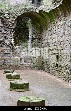 Castello di Middleham, Middleham, vicino a Ripon a Wensleydale, North Yorkshire, Inghilterra, Regno Unito Foto Stock