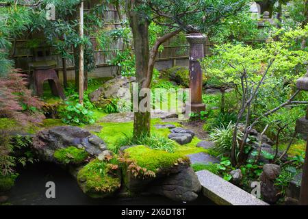 Giappone, Kanazawa, Nagamachi, distretto di samurai, Casa Nomura, giardino Foto Stock