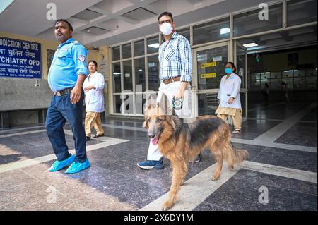 NUOVA DELHI, INDIA - 14 MAGGIO: Bomb Squad della polizia di Delhi effettua operazioni di ricerca all'interno del Deep Chand Bandhu Hospital come riferito dopo che una bomba è stata ricevuta nelle prime ore del mattino ad Ashok Vihar il 14 maggio 2024 a nuova Delhi, India. Quattro ospedali di Delhi, tra cui Deepchand Bandhu Hospital, Dada Dev Hospital, Hedgewar Hospital e Guru TEG Bahadur Hospital (GTB) Hospital, hanno ricevuto e-mail di allarme bomba martedì, due giorni dopo che messaggi simili sono stati inviati a 20 ospedali, l'aeroporto e l'ufficio del CPRO delle Ferrovie del Nord nella capitale, hanno detto i funzionari. Non c'è niente di sospetto Foto Stock