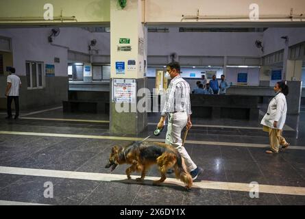 NUOVA DELHI, INDIA - 14 MAGGIO: Bomb Squad della polizia di Delhi effettua operazioni di ricerca all'interno del Deep Chand Bandhu Hospital come riferito dopo che una bomba è stata ricevuta nelle prime ore del mattino ad Ashok Vihar il 14 maggio 2024 a nuova Delhi, India. Quattro ospedali di Delhi, tra cui Deepchand Bandhu Hospital, Dada Dev Hospital, Hedgewar Hospital e Guru TEG Bahadur Hospital (GTB) Hospital, hanno ricevuto e-mail di allarme bomba martedì, due giorni dopo che messaggi simili sono stati inviati a 20 ospedali, l'aeroporto e l'ufficio del CPRO delle Ferrovie del Nord nella capitale, hanno detto i funzionari. Non c'è niente di sospetto Foto Stock