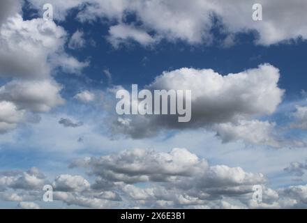 Nuvole di Cumulus in un cielo blu, nuvole bianche e soffici su un fondo di cielo blu in una giornata estiva vicino a Selby nel North Yorkshire nel Regno Unito Foto Stock