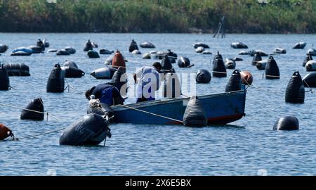 L'Italia, sicilia, Ganzirri (Messina), i pescatori che lavorano in una mitilicoltura Foto Stock