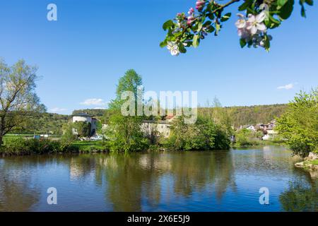 Dollnstein: fiume Altmühl, castello di Dollnstein a Oberbayern, Altmühltal, alta Baviera, Bayern, Baviera, Germania Foto Stock