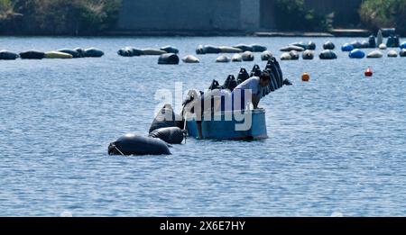 L'Italia, sicilia, Ganzirri (Messina), i pescatori che lavorano in una mitilicoltura Foto Stock