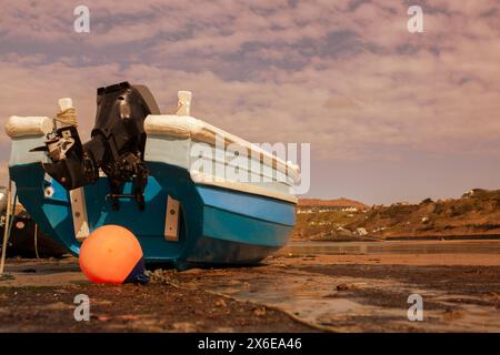 Barche da pesca ormeggiate, con la bassa marea, a Nefyn Port, Gwynedd, Galles del Nord. Preso dalla luce solare serale. Foto Stock