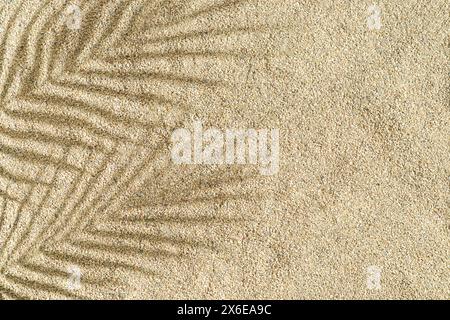 Le palme tropicali lasciano ombra sullo sfondo della spiaggia. Concetto estivo minimalista. Un'immagine di sfondo originale con un gioco di luci e ombre. Foto Stock