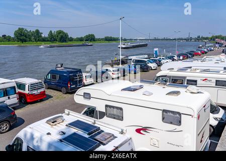 Wohnmobil Stellplatz am Rheinufer, Düsseldorf am Rhein, Wohnmobil Stellplatz am Rheinufer, Rheinterrasse, Düsseldorf, NRW, Deutschland, Wohnmobil Stellplatz *** posto auto camper sulle rive del Reno, Düsseldorf am Rhein, posto auto camper sulle rive del Reno, Rheinterrasse, Düsseldorf, NRW, Germania, parcheggio per camper Foto Stock