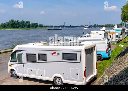 Wohnmobil Stellplatz am Rheinufer, Düsseldorf am Rhein, Wohnmobil Stellplatz am Rheinufer, Rheinterrasse, Düsseldorf, NRW, Deutschland, Wohnmobil Stellplatz *** posto auto camper sulle rive del Reno, Düsseldorf am Rhein, posto auto camper sulle rive del Reno, Rheinterrasse, Düsseldorf, NRW, Germania, parcheggio per camper Foto Stock