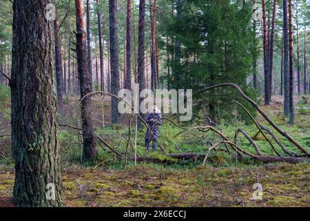 Natura selvaggia nel parco nazionale di Dzukija in Lituania Foto Stock