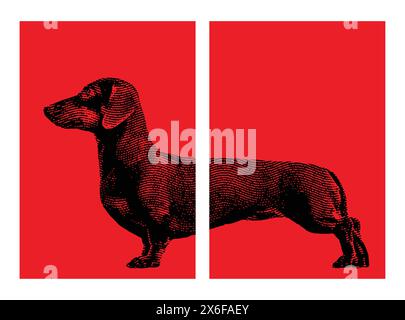 opere d'arte per cani, poster per dachshund, poster per cani wiener o sausage, stile pop art per decorazioni domestiche Illustrazione Vettoriale