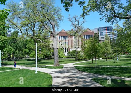 La Michigan State University ha un campus di 5.300 acri, con i suoi edifici accademici in un ambiente simile a un parco. Foto Stock