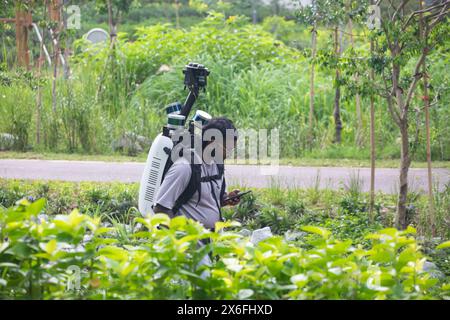 Un uomo porta con sé uno zaino elettronico pesante Apple Maps montato su quattro fotocamere per scattare foto mentre cammina lungo un percorso designato. Singapore. Foto Stock