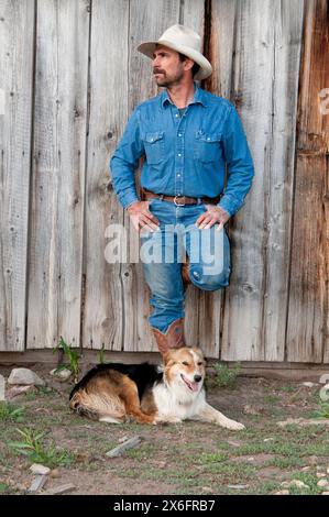 Cowboy con pastore australiano appoggiato sul fienile (MR) Foto Stock