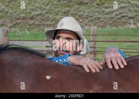 Cowboy del Montana con cavallo (MR) Foto Stock