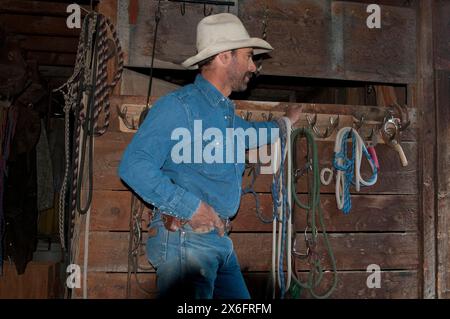 Cowboy del Montana in una sala per il cavallo (MR) Foto Stock