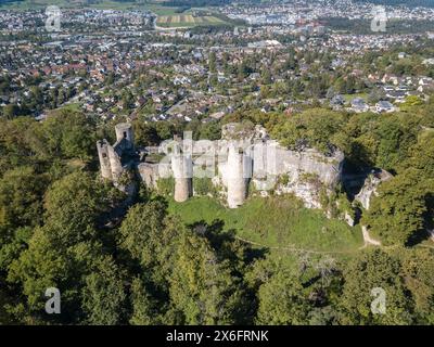 Vista aerea delle rovine del castello di Dorneck nella città di Dornach, Canton Solothum vicino a Basilea, Svizzera Foto Stock
