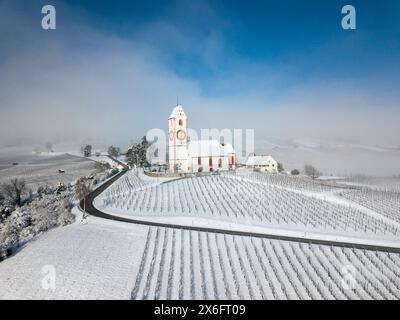 Immagine aerea della chiesa di St. Moritz sopra il vigneto innevato in inverno, regione Klettgau, Canton Sciaffusa, Svizzera Foto Stock