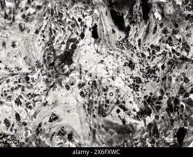 Sfondo texture astratto. Gocce nere e macchie di varie dimensioni. Disseminati in modo caotico su diverse sfumature di sfondo grigio e bianco. Biglie e. Foto Stock