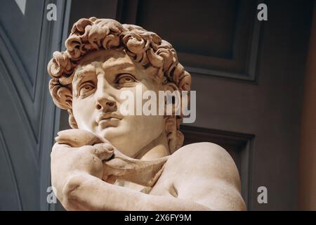 Firenze, Italia - 31 dicembre 2023: David, un capolavoro di scultura rinascimentale italiana, creato dal 1501 al 1504 da Michelangelo, alla Galleria dell'Accademia Foto Stock