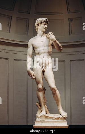 Firenze, Italia - 31 dicembre 2023: David, un capolavoro di scultura rinascimentale italiana, creato dal 1501 al 1504 da Michelangelo, alla Galleria dell'Accademia Foto Stock