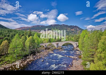 Old Bridge of Dee o Invercauld Bridge vicino alla strada principale da Braemar a Ballater e una persona che pesca il fiume con un cane in primavera Foto Stock