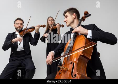 Musicisti che suonano contrabbasso e violini Foto Stock