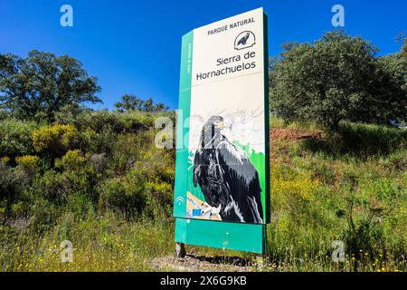 Parco naturale della Sierra de Hornachuelos, provincia di Córdoba, Andalusia, Spagna Foto Stock