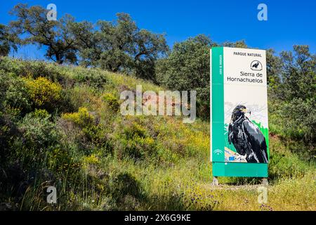 Parco naturale della Sierra de Hornachuelos, provincia di Córdoba, Andalusia, Spagna Foto Stock