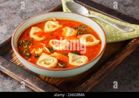 Gustosa zuppa di tortellini con pomodoro, spinaci, cipolla, carote, parmigiano in primo piano sul piatto del tavolo. Orizzontale Foto Stock