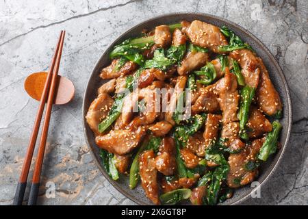 Filetto di maiale arrosto a fette con lattuga romaina, sesamo e aglio in una salsa dolce e piccante primo piano in un piatto sul tavolo. Vista dall'alto orizzontale Foto Stock